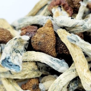 Blue Meanies - Image 2