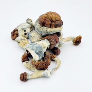 Blue Pulaski - Image 2