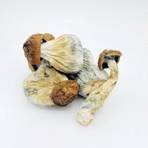 Gold Member - Image 2